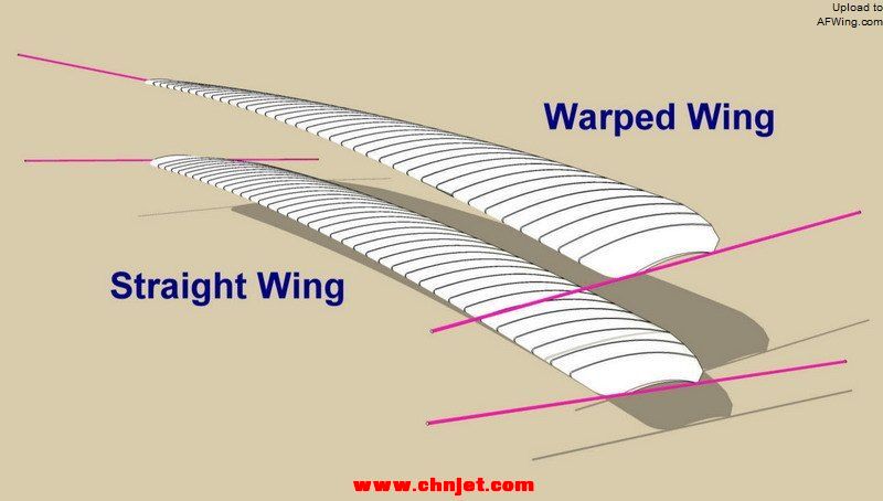 1902-Glider-wings-compared.jpg