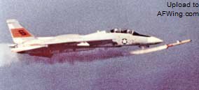 F-14%20SHOOTDOWN-4.jpg