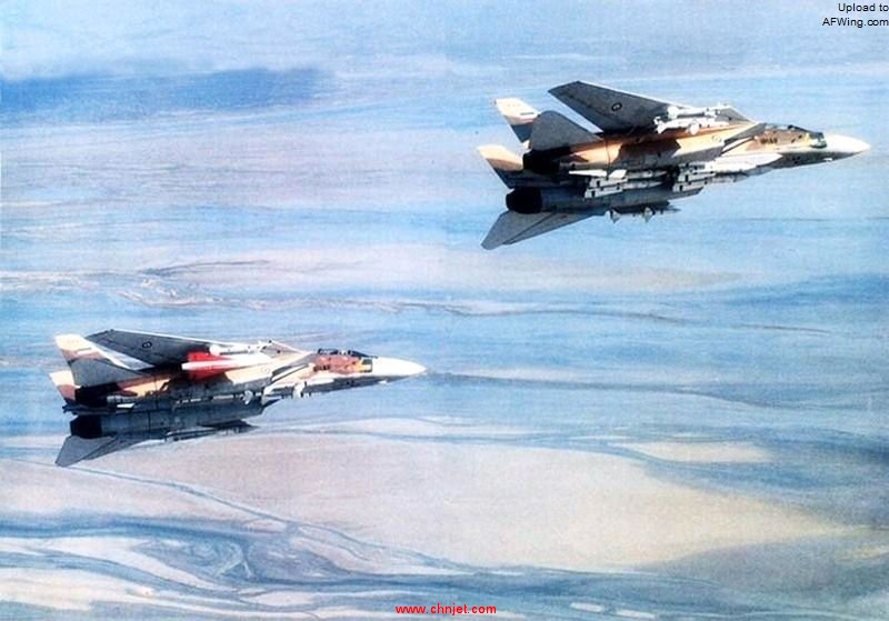 Irani_F-14_Tomcats_carrying_AIM-54_Phoenixs.jpg
