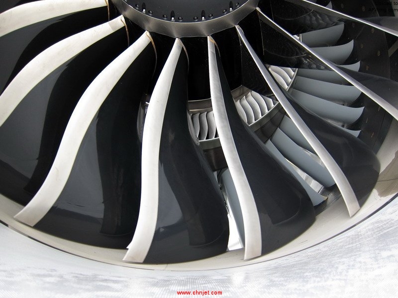 Fan_blades_and_inlet_guide_vanes_of_GEnx-2B.jpg