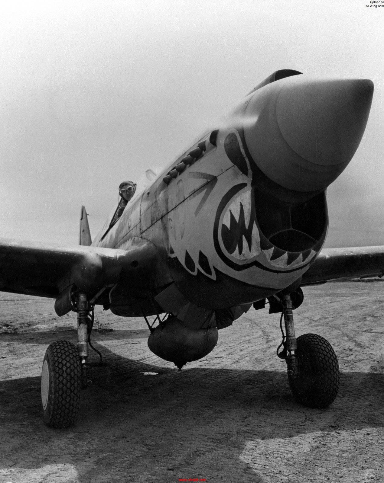 P-40_Warhawk.jpg