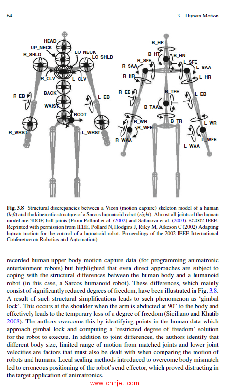 《Biologically Inspired Control of Humanoid Robot Arms: Robust and Adaptive Approaches》