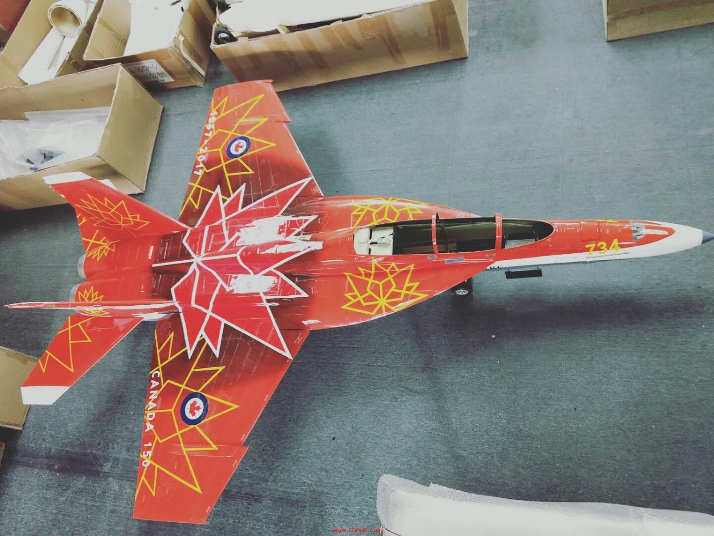 加拿大纪念涂装的F18