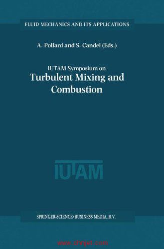 《IUTAM Symposium on Turbulent Mixing and Combustion: Proceedings of the IUTAM Symposium held in Kin ...