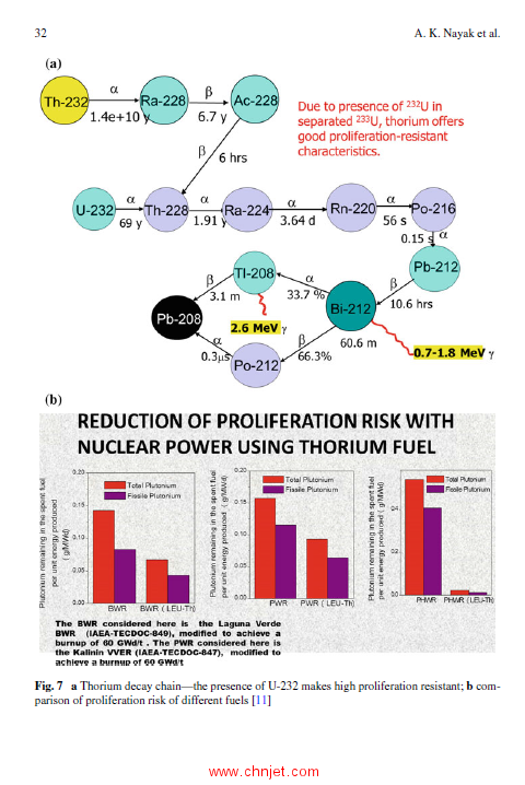 《Thorium—Energy for the Future：Select Papers from ThEC15》