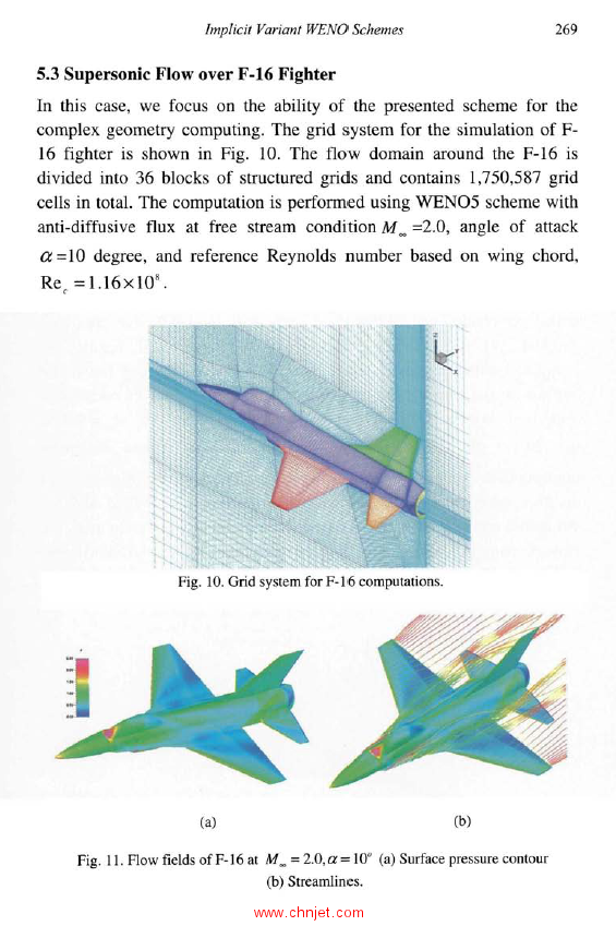 《Computational Fluid Dynamics Review 2010》