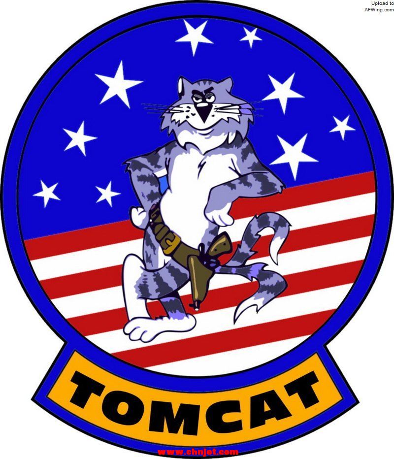 grumman_f_14_tomcat_flight_insignia_by_viperaviator-d6t74jy.jpg