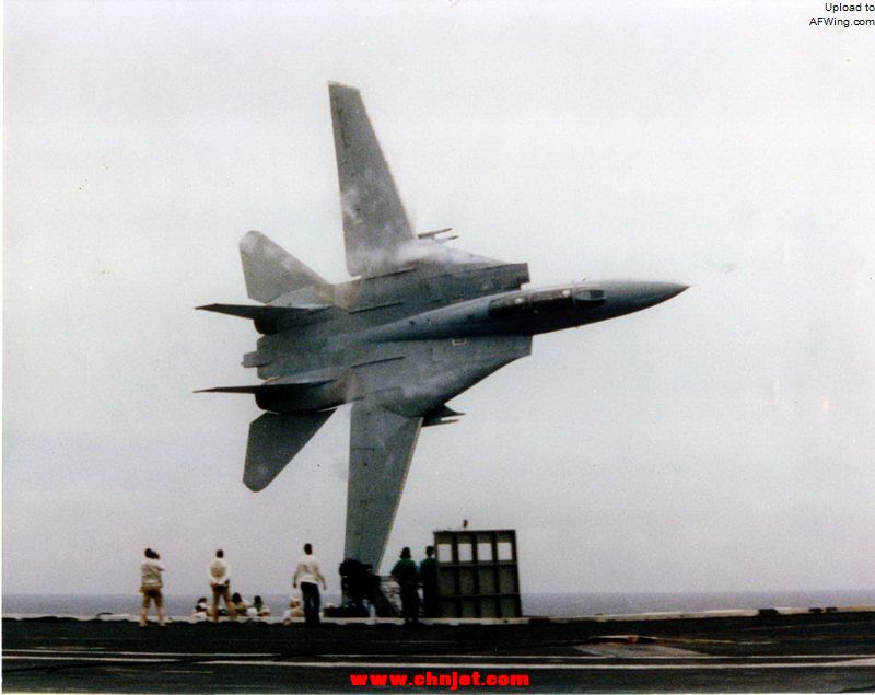 tomcat-150dpi.jpg