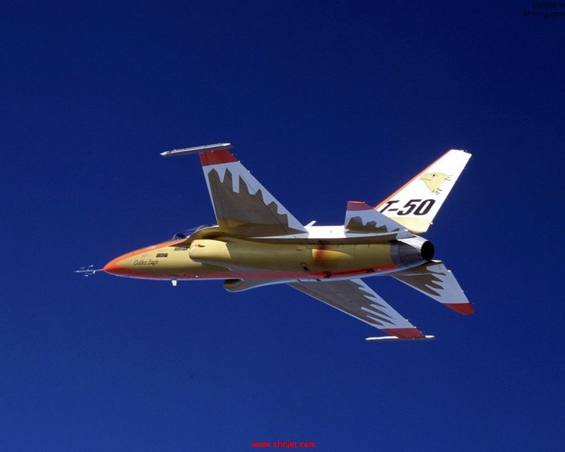 AIR_T-50_Underside_lg.jpg