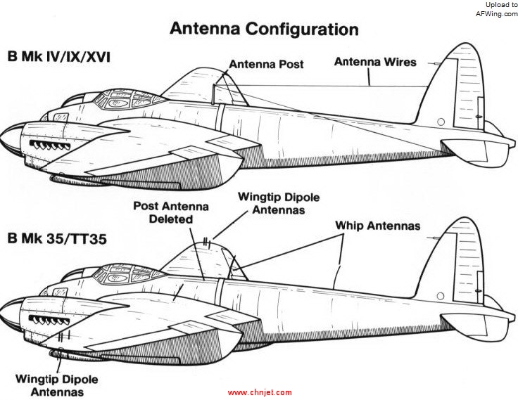 tt35.jpg