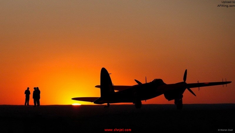 Mosquito%20at%20sunset_edited-8.jpg