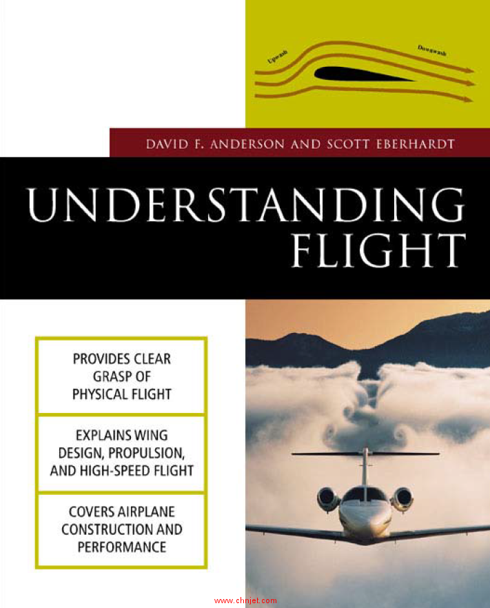 《Understanding Flight》第一版