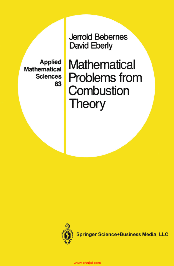 《Mathematical Problems from Combustion Theory》