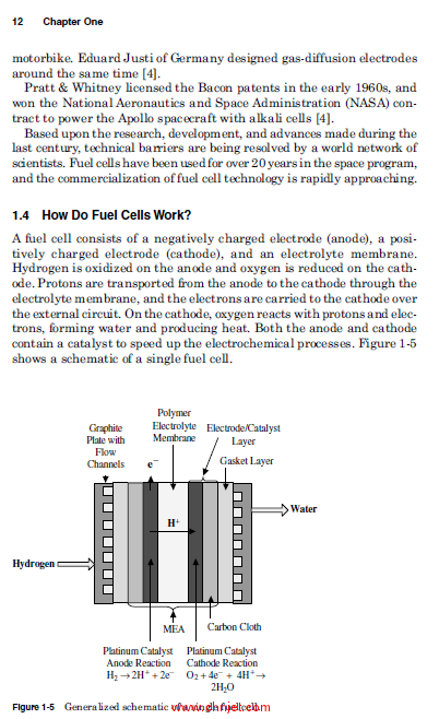 《Designing and Building Fuel Cells》