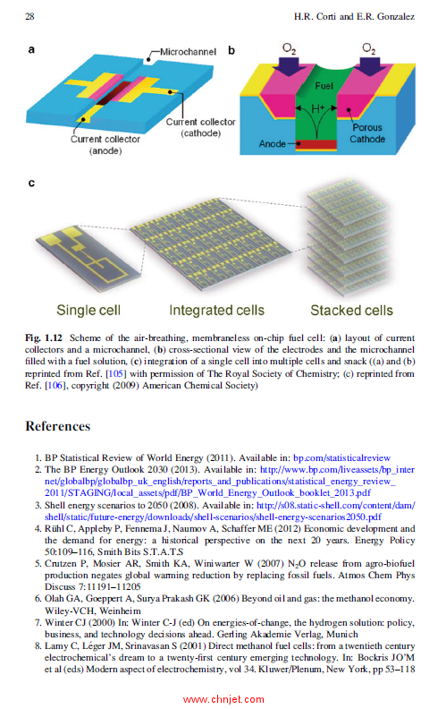 《Direct Alcohol Fuel Cells：Materials, Performance, Durability and Applications》