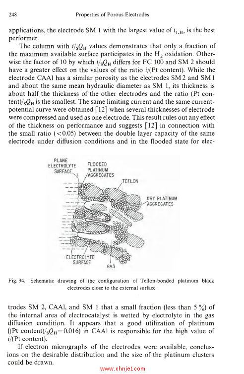 《Electrochemical Processes in Fuel Cells》