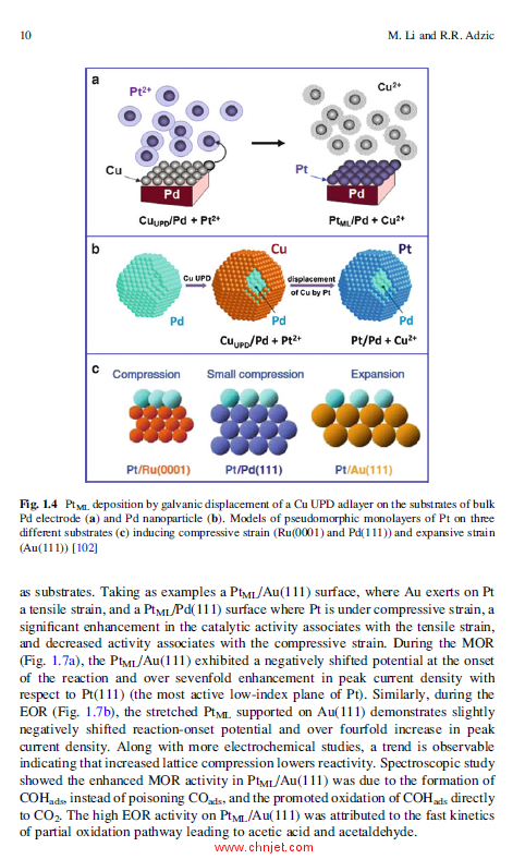 《Electrocatalysis in Fuel Cells: A Non- and Low- Platinum Approach》