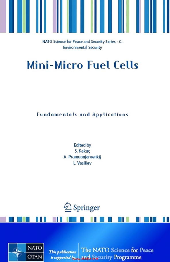 《Mini-Micro Fuel Cells: Fundamentals and Applications》