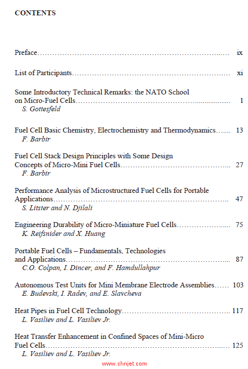 《Mini-Micro Fuel Cells: Fundamentals and Applications》