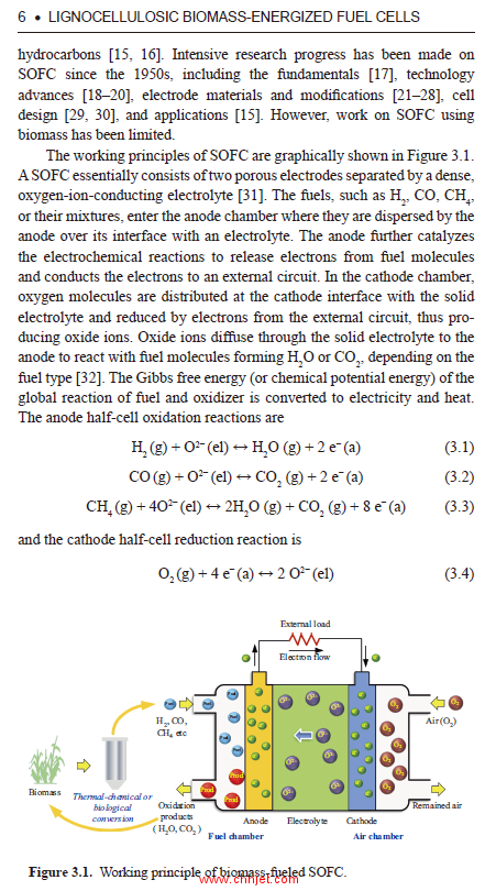 《Lignocellulosic Biomass-Energized Fuel Cells: Cases of High-Temperature Conversion》