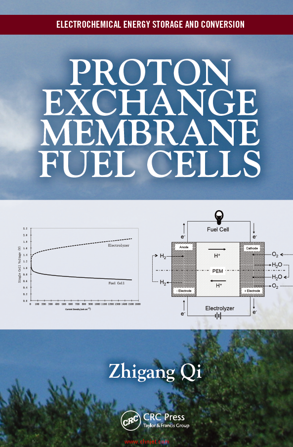 《Proton Exchange Membrane Fuel Cells》