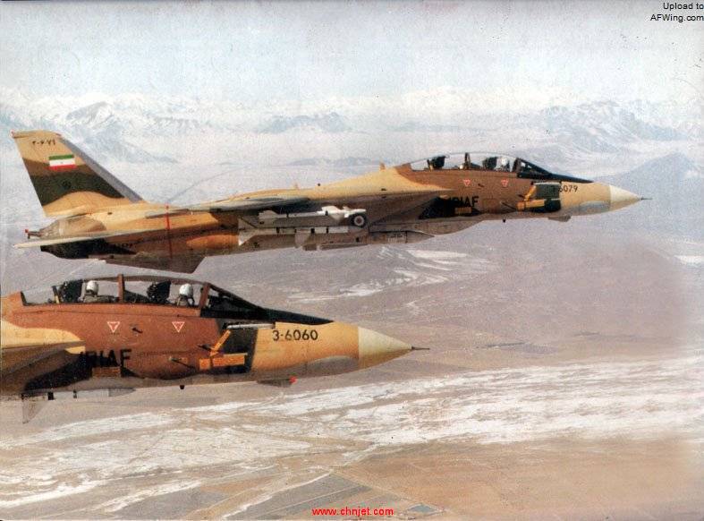 IRIAF_F-14.jpg