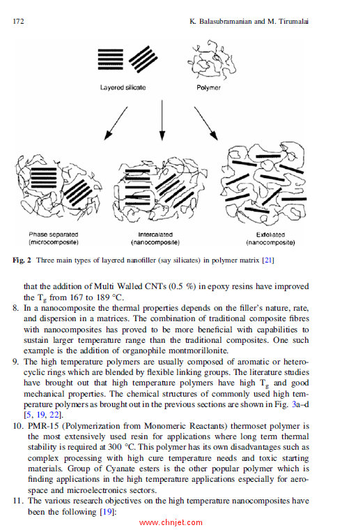 《Structural Nanocomposites: Perspectives for Future Applications》