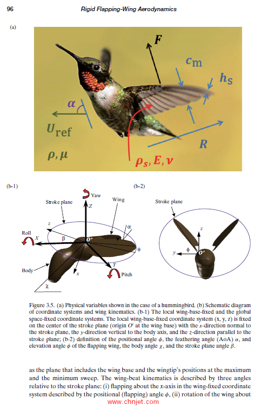 《An Introduction to Flapping Wing Aerodynamics》