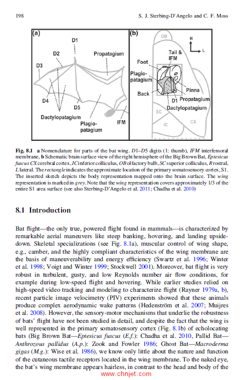 《Flow Sensing in Air and Water: Behavioral, Neural and Engineering Principles of Operation》