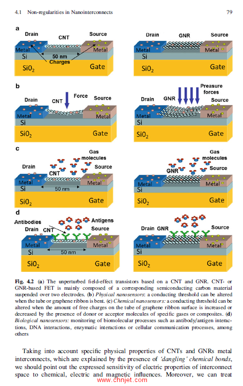 《Nonregular Nanosystems: Theory and Applications》