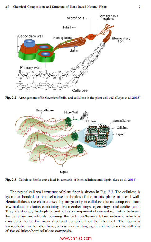 《Sustainable Jute-Based Composite Materials：Mechanical and Thermomechanical Behaviour》