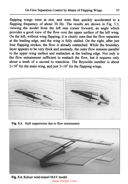 《Bio-mechanisms of Swimming and Flying》