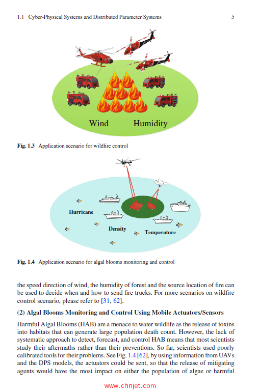 《Regional Analysis of Time-Fractional Diffusion Processes》