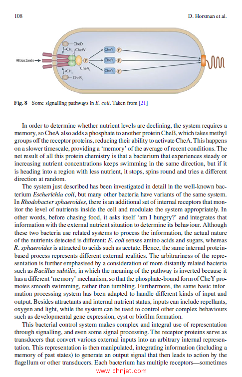 《Representation and Reality in Humans, Other Living Organisms and Intelligent Machines》