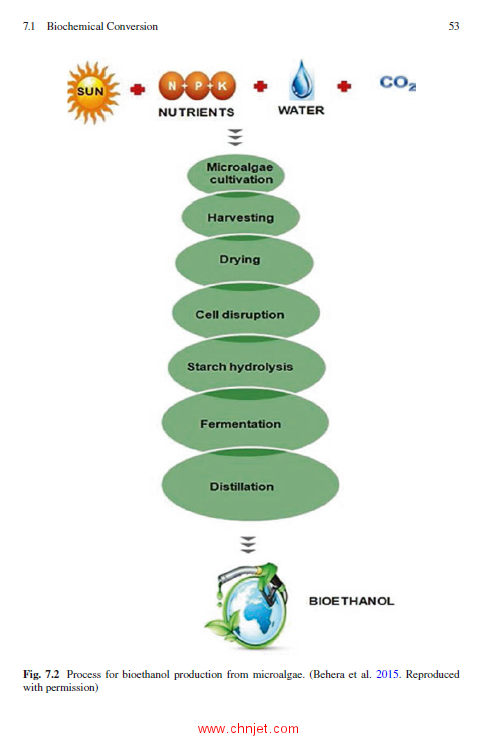 《Third Generation Biofuels》