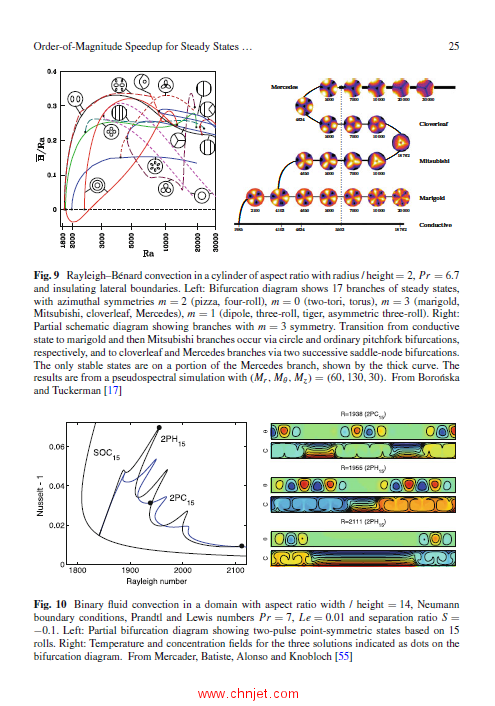 《Computational Modelling of Bifurcations and Instabilities in Fluid Dynamics》