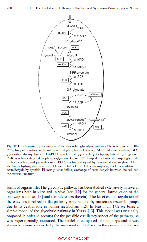 《Advances in H∞ Control Theory：Switched, Delayed, and Biological Systems》