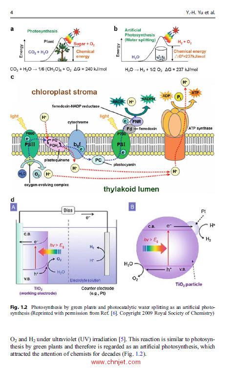 《Nanostructured Materials for Next-Generation Energy Storage and Conversion：Hydrogen Production, S ...