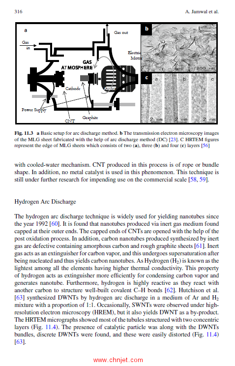 《Emerging Trends in Nanotechnology》