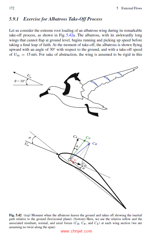 《Biological and Bio-Inspired Fluid Dynamics：Theory and Application》