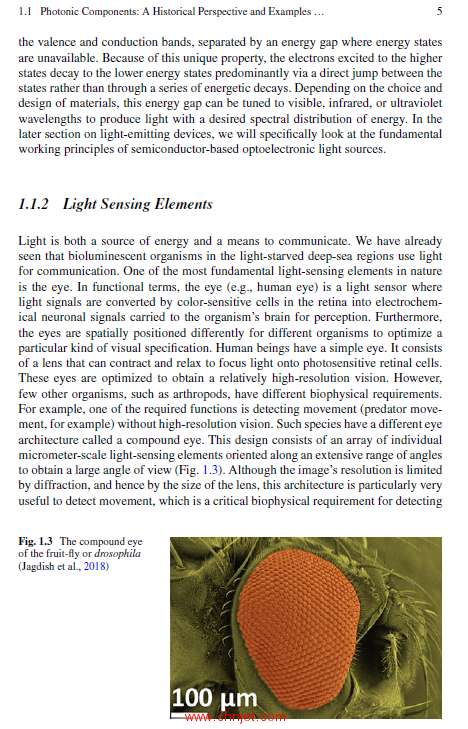 《Modelling and Design of Nanostructured Optoelectronic Devices：Solar Cells and Photodetectors》