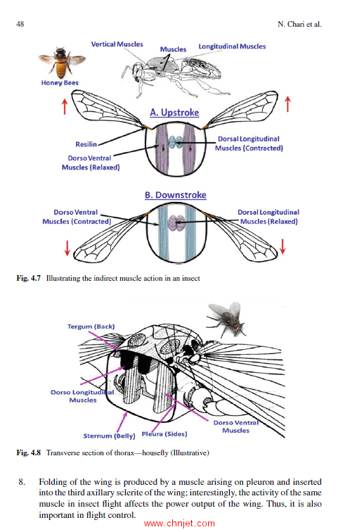 《Biophysics of Insect Flight》