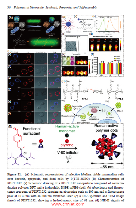 《Polymers at Nanoscale》第一二卷