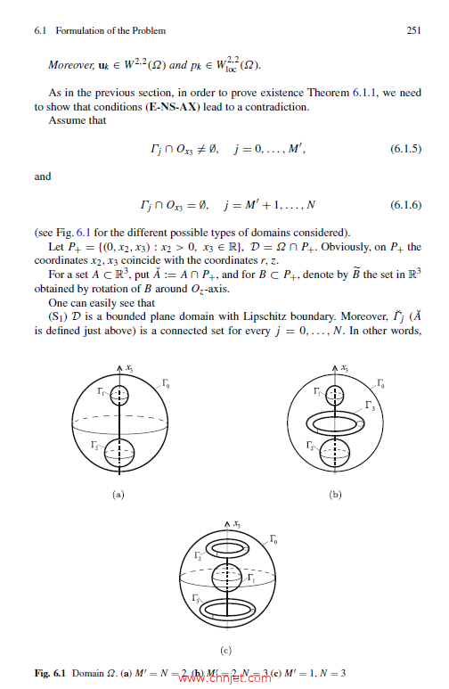 《The Steady Navier-Stokes System：Basics of the Theory and the Leray Problem》