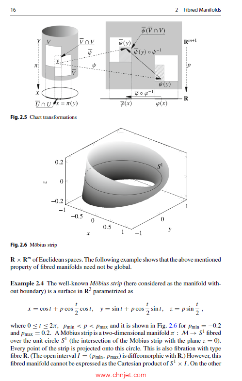 《Calculus of Variations on Fibred Manifolds and Variational Physics：A Geometri