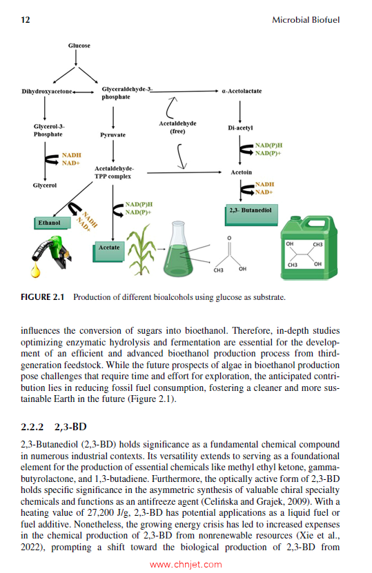 《Microbial Biofuel：A Sustainable Source of Renewable Energy》
