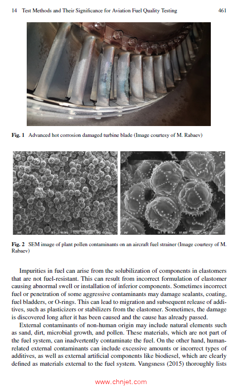 《Aviation Fuel Problems and Solutions: From Refinery to Wingtip》