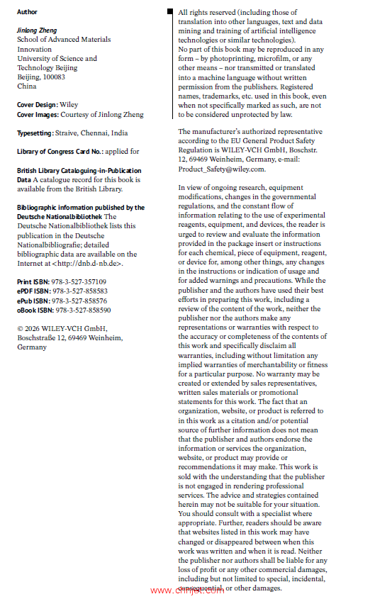 《Iron-Group Metal Compound Nanomaterials：Preparation, Characterization, Structure, and Application ...
