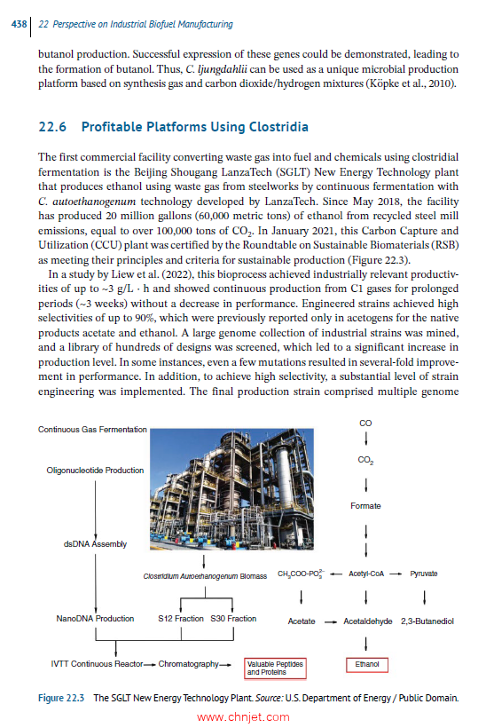 《Renewable Butanol：Fermentation, Process Technology and Biofuel Applications》