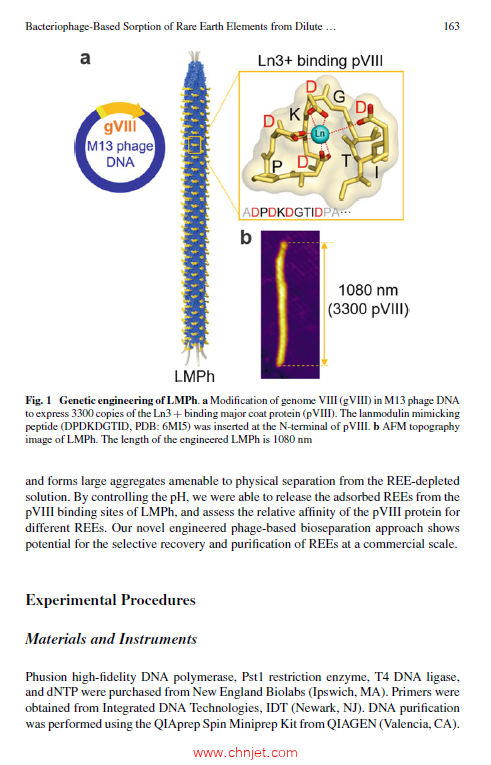《Rare Metal Technology 2024》